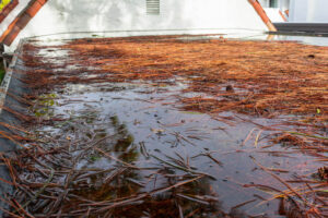 debris on a flat roof